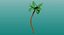 3D model tropical plants