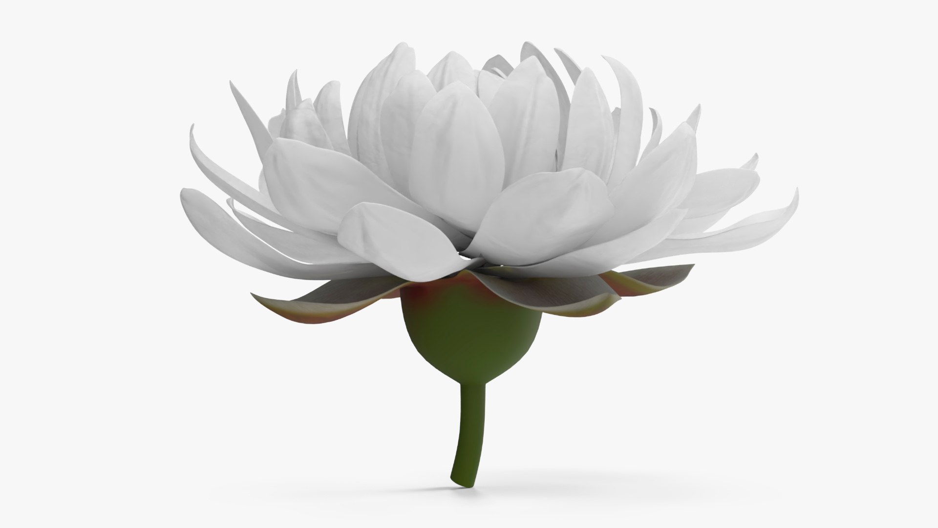3D Floral Plants Collection model https://p.turbosquid.com/ts-thumb/JK/mcrQ75/5L/floralplantscollectionmb3dmodel007/jpg/1715242910/1920x1080/fit_q87/a7593d8515ce500e96f7f802d853d9e58dc4dabc/floralplantscollectionmb3dmodel007.jpg