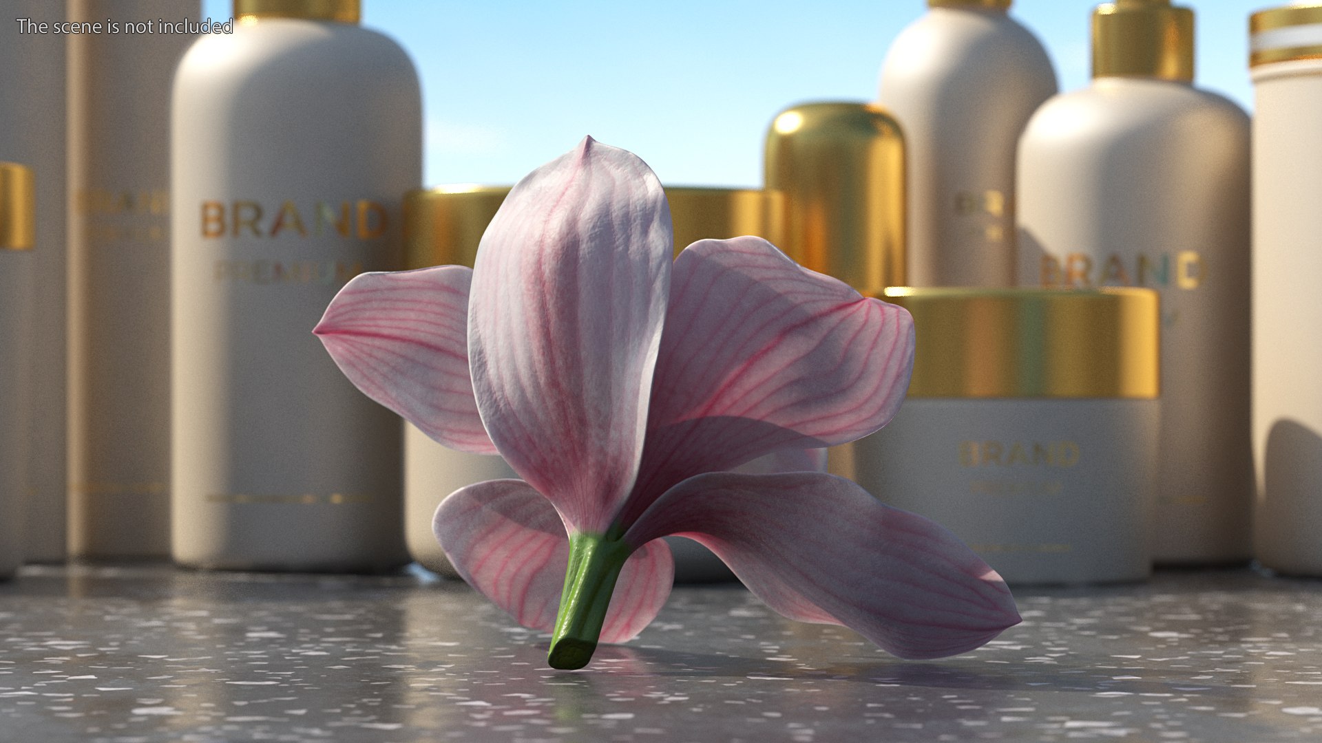 3D Floral Plants Collection model https://p.turbosquid.com/ts-thumb/JK/mcrQ75/Dy/floralplantscollectionmb3dmodel033/jpg/1715243079/1920x1080/fit_q87/0a044d546f30d87ffe3ce6aa506756c77caac9e1/floralplantscollectionmb3dmodel033.jpg