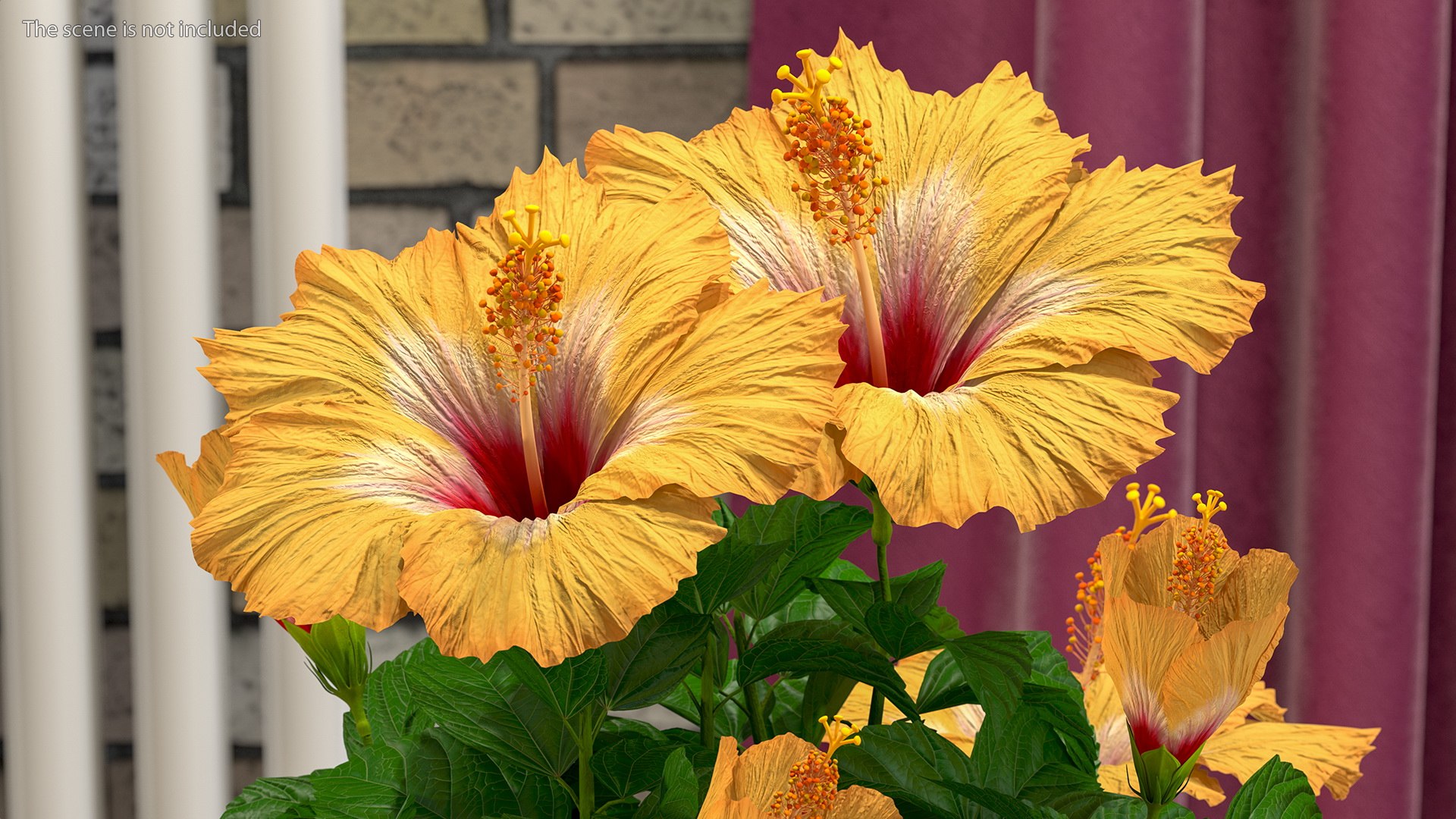 3D Floral Plants Collection model https://p.turbosquid.com/ts-thumb/JK/mcrQ75/Jm/floralplantscollectionmb3dmodel046/jpg/1715243153/1920x1080/fit_q87/fb37c34d92d29d507ce46ec5ff46e8c26b5dc1ad/floralplantscollectionmb3dmodel046.jpg