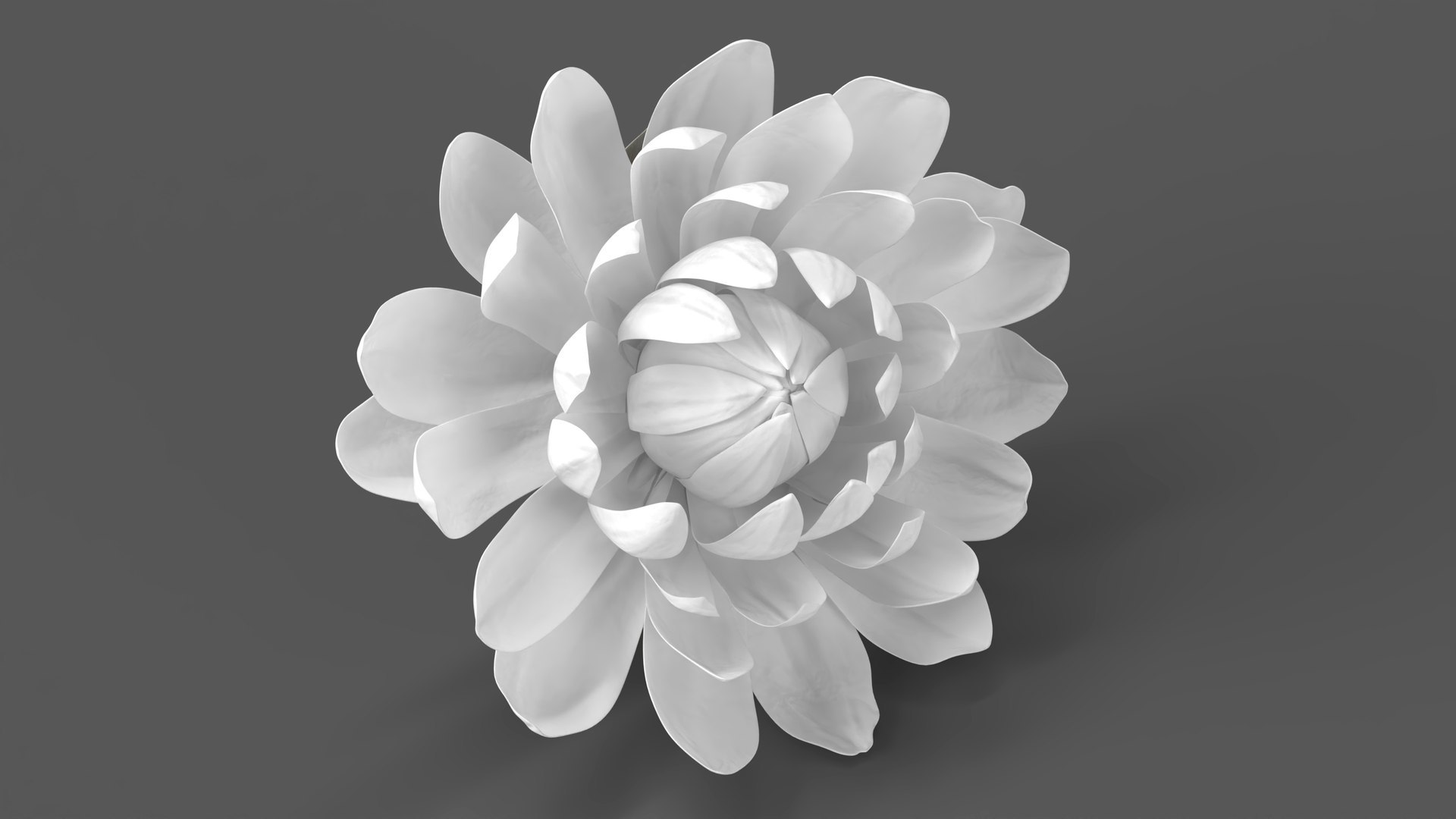 3D Floral Plants Collection model https://p.turbosquid.com/ts-thumb/JK/mcrQ75/RA/floralplantscollectionmb3dmodel005/jpg/1715242895/1920x1080/fit_q87/ef6e2cd7e87d970cd380f7ca6535112110f7fe95/floralplantscollectionmb3dmodel005.jpg