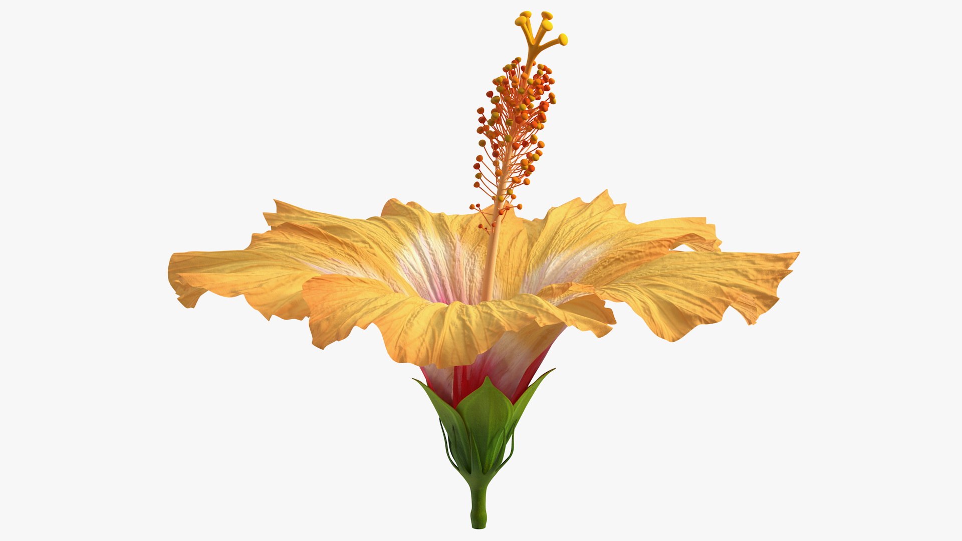 3D Floral Plants Collection model https://p.turbosquid.com/ts-thumb/JK/mcrQ75/TL/floralplantscollectionmb3dmodel049/jpg/1715243169/1920x1080/fit_q87/30fef24541cda871b65bdf4e6710f5577318839e/floralplantscollectionmb3dmodel049.jpg