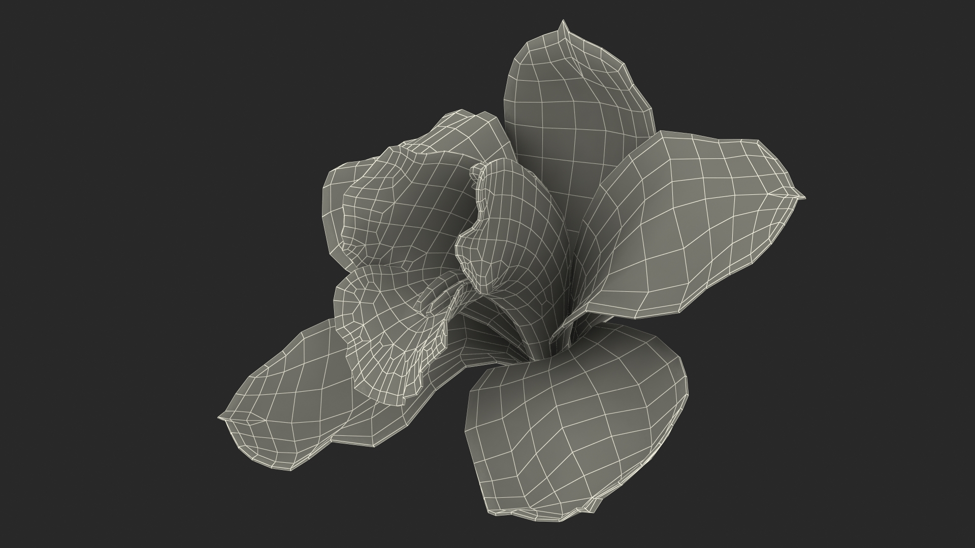 3D Floral Plants Collection model https://p.turbosquid.com/ts-thumb/JK/mcrQ75/VB/hybrid_orchid_pink_361/jpg/1715242533/1920x1080/turn_fit_q99/e39f280fe6bf8fde3630340954a6b5f0cbd479ee/hybrid_orchid_pink_361-1.jpg