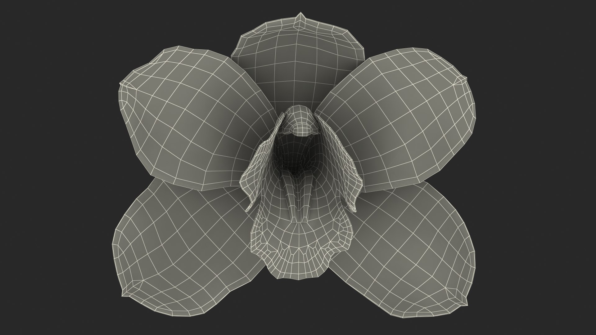 3D Floral Plants Collection model https://p.turbosquid.com/ts-thumb/JK/mcrQ75/WZ/floralplantscollectionmb3dmodel059/jpg/1715243222/1920x1080/fit_q87/01a3e53cf77201a12e5415232ea3f7b08d6b02c7/floralplantscollectionmb3dmodel059.jpg