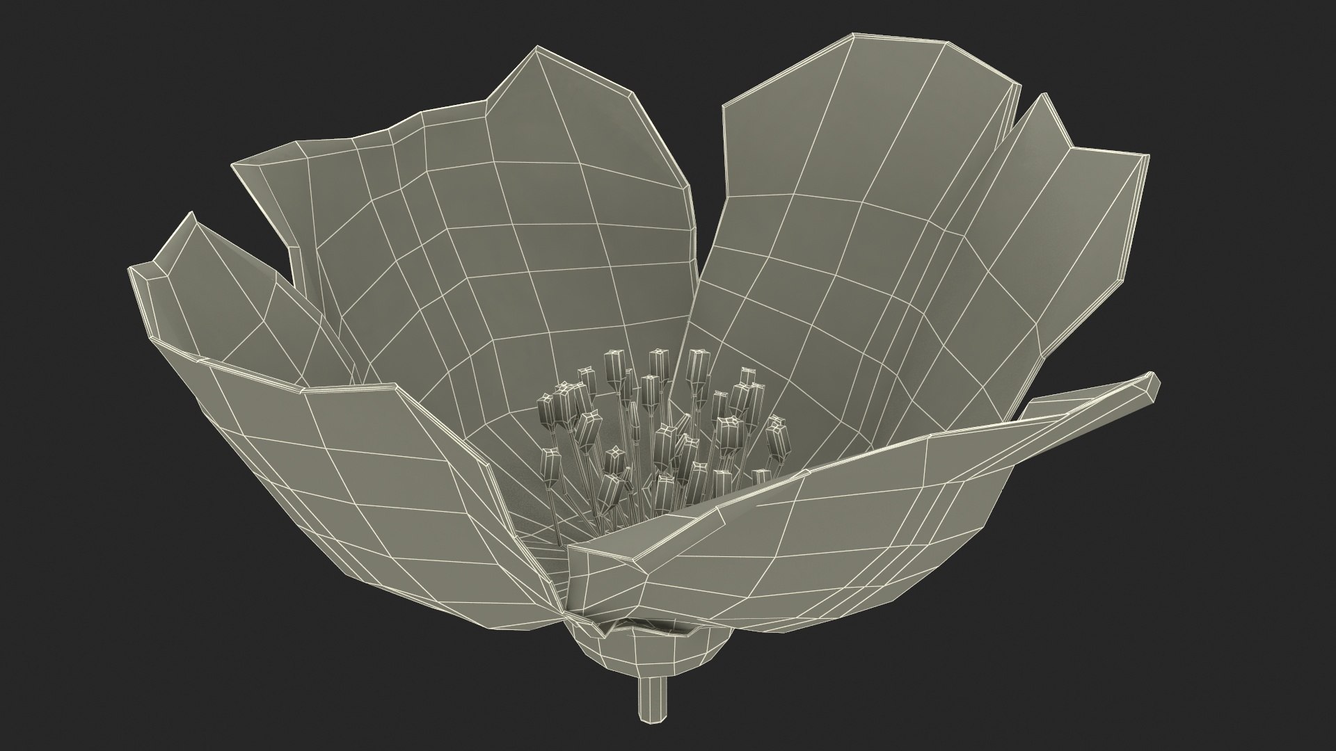 3D Floral Plants Collection model https://p.turbosquid.com/ts-thumb/JK/mcrQ75/cG/floralplantscollectionmb3dmodel058/jpg/1715243215/1920x1080/fit_q87/e064a4ab1ceee9d1639174eae9543339a65dff71/floralplantscollectionmb3dmodel058.jpg