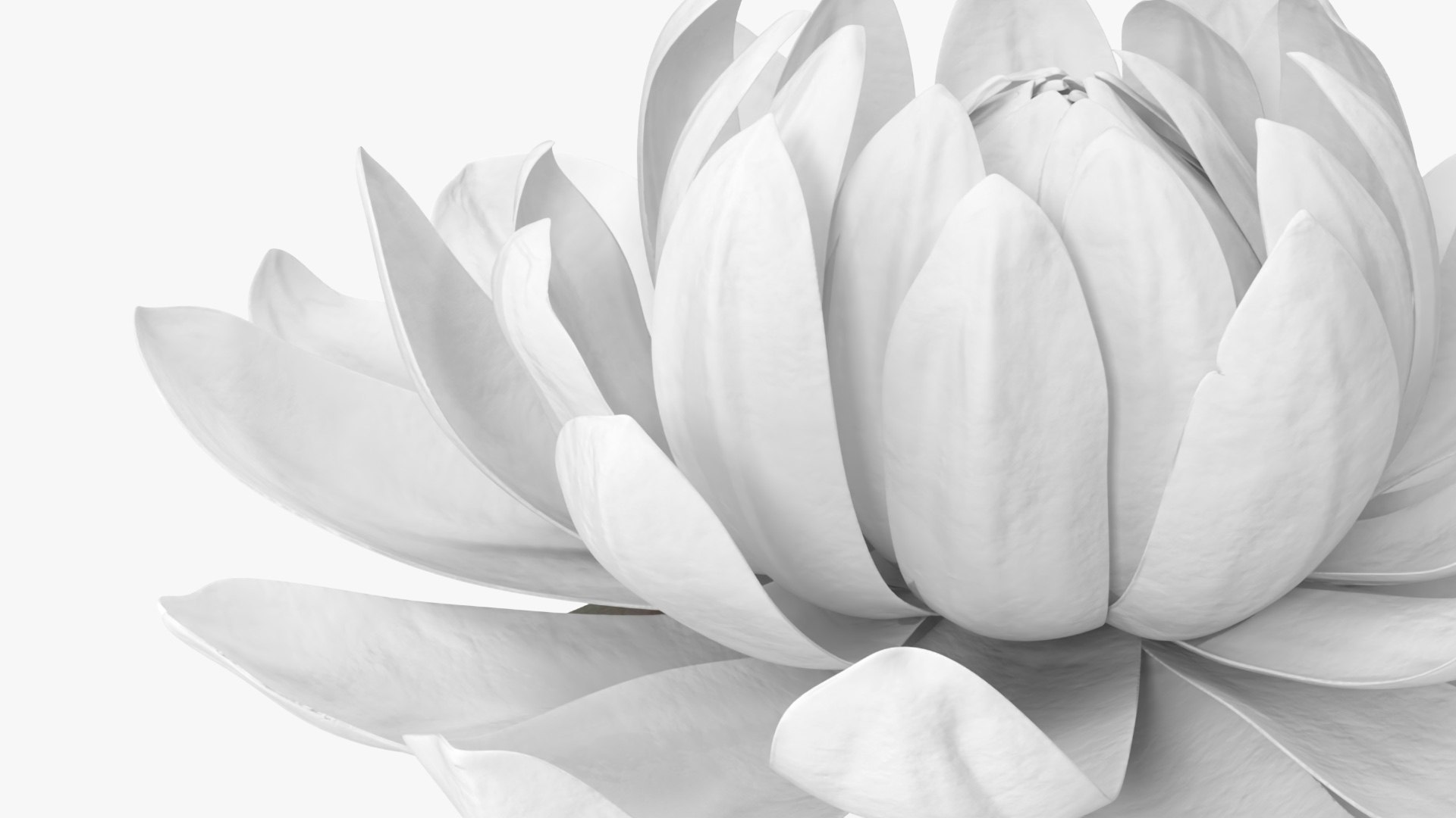 3D Floral Plants Collection model https://p.turbosquid.com/ts-thumb/JK/mcrQ75/lt/floralplantscollectionmb3dmodel008/jpg/1715242916/1920x1080/fit_q87/5e1d6890aa001ee3b66df6196e7e5910315cdf8e/floralplantscollectionmb3dmodel008.jpg