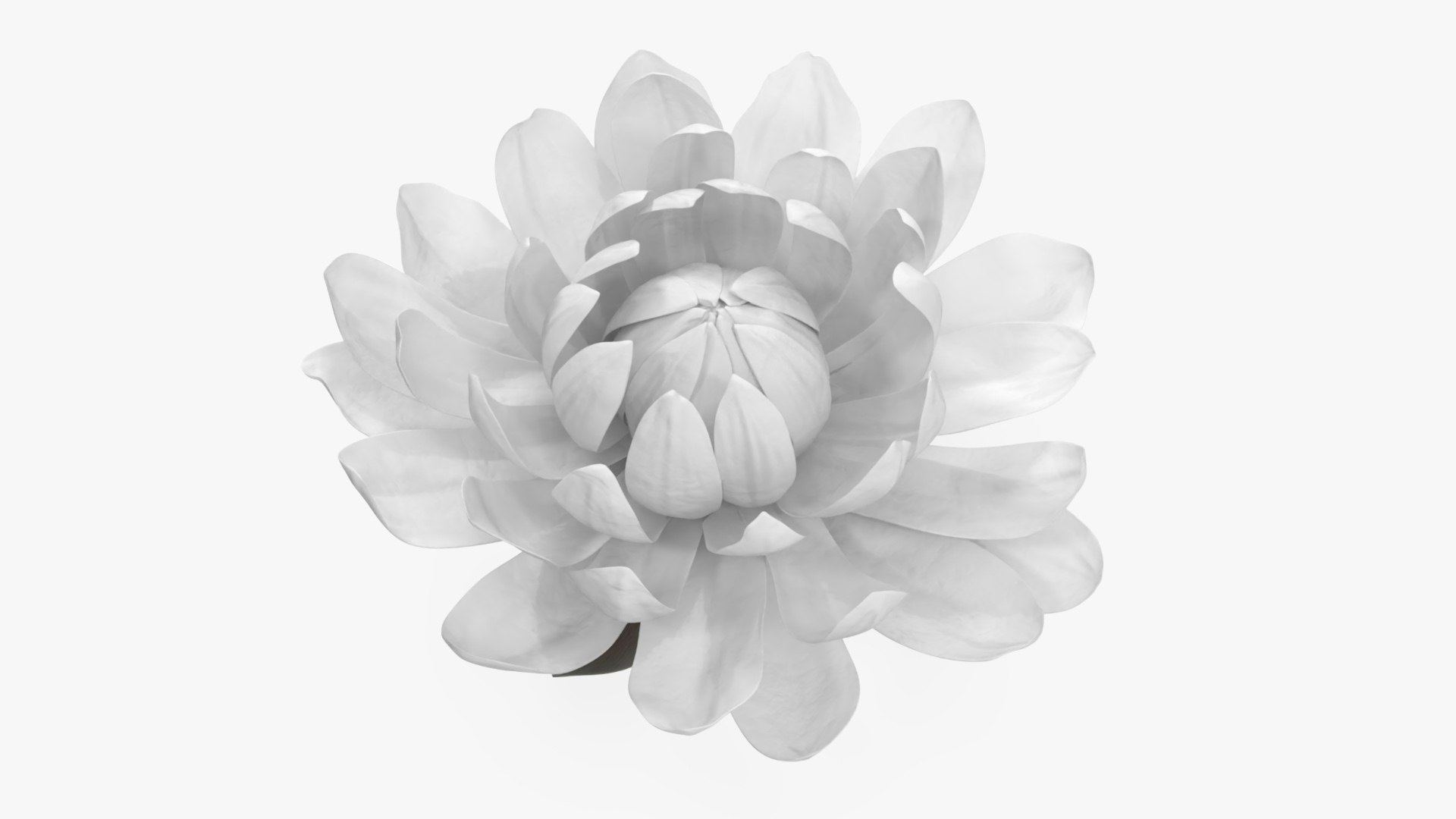 3D Floral Plants Collection model https://p.turbosquid.com/ts-thumb/JK/mcrQ75/nq/floralplantscollectionmb3dmodel010/jpg/1715242930/1920x1080/fit_q87/00f5c8056441d1a9c9a93aa7e89bdb4505d39c2d/floralplantscollectionmb3dmodel010.jpg
