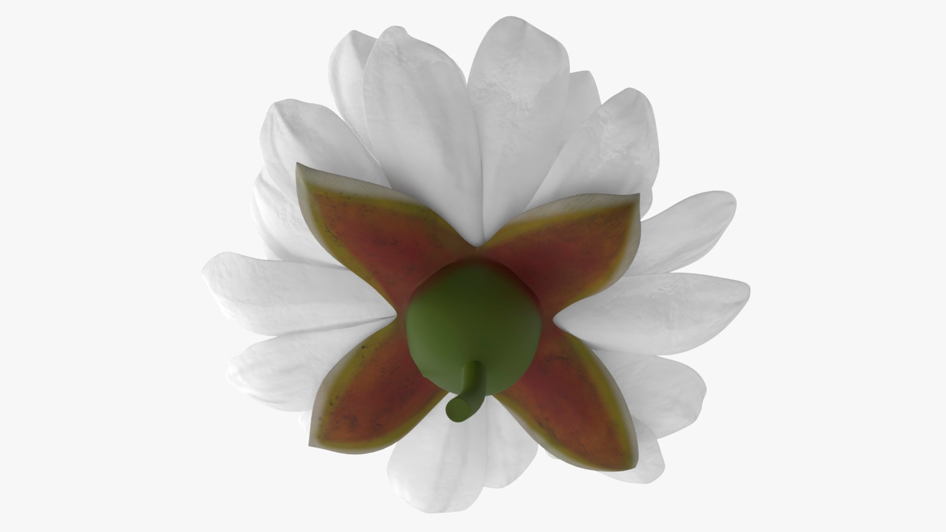 3D Floral Plants Collection model https://p.turbosquid.com/ts-thumb/JK/mcrQ75/nu/floralplantscollectionmb3dmodel009/jpg/1715242924/1920x1080/fit_q87/895b1db6b467cf3a0bd8fa107f2ad30eab1f2300/floralplantscollectionmb3dmodel009.jpg