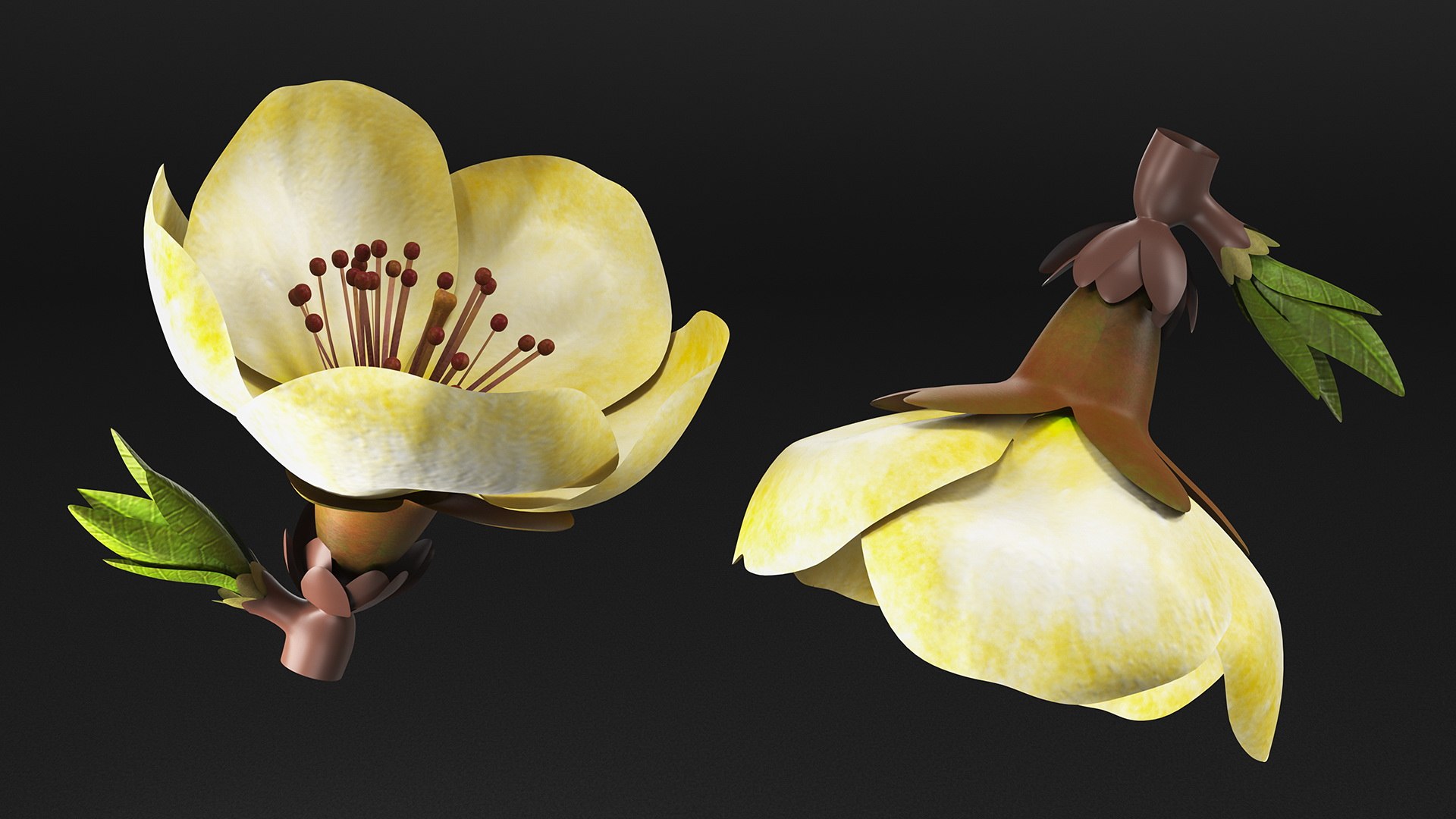3D Floral Plants Collection model https://p.turbosquid.com/ts-thumb/JK/mcrQ75/si/floralplantscollectionmb3dmodel016/jpg/1715242971/1920x1080/fit_q87/540e39c2290dc184e770c1f86c3a2dc5055af0f3/floralplantscollectionmb3dmodel016.jpg