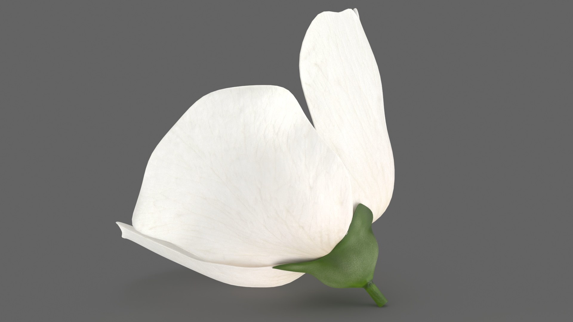 3D Floral Plants Collection model https://p.turbosquid.com/ts-thumb/JK/mcrQ75/uA/floralplantscollectionmb3dmodel028/jpg/1715243048/1920x1080/fit_q87/d9d9b623e840f05191b71c2ef9e66d055b1fea81/floralplantscollectionmb3dmodel028.jpg