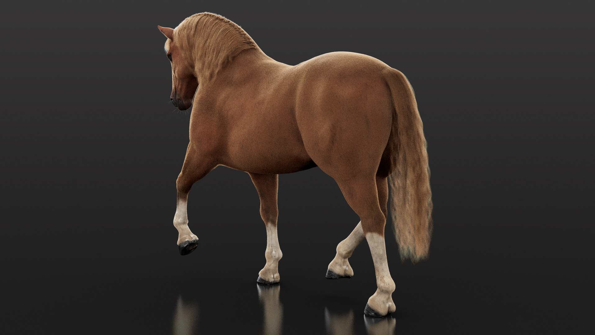 Horse 2026 Brown RIG XGEN 3D model https://p.turbosquid.com/ts-thumb/JK/rnyUp6/HJ/brown06/jpg/1768451182/1920x1080/fit_q87/850a8b88c59d22552b0f2d6a1fc5b373c8bd91ac/brown06.jpg