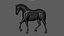 Horse 2026 Brown RIG XGEN