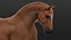 Horse 2026 Brown RIG XGEN