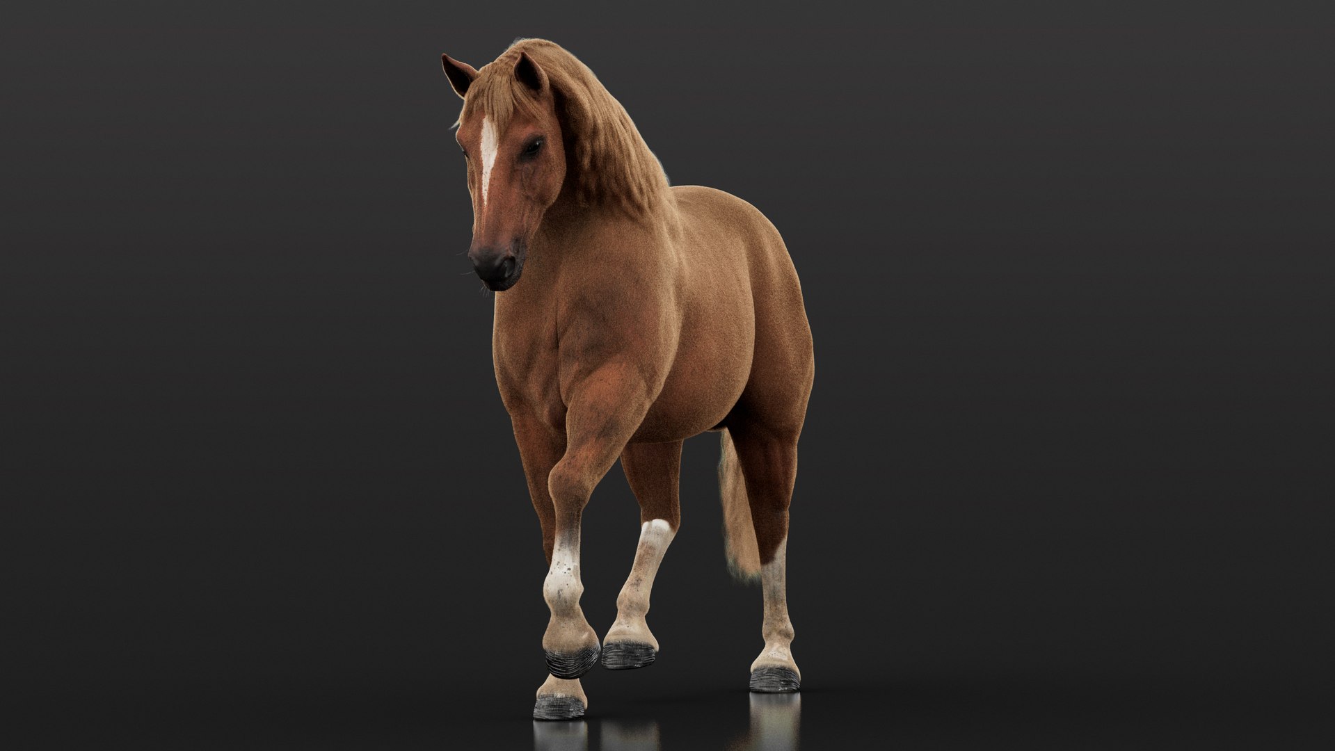 Horse 2026 Brown RIG XGEN 3D model https://p.turbosquid.com/ts-thumb/JK/rnyUp6/ms/brown05/jpg/1768451181/1920x1080/fit_q87/2f82a3722b9955030e0082a10f1daedbc72be058/brown05.jpg