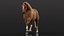 Horse 2026 Brown RIG XGEN