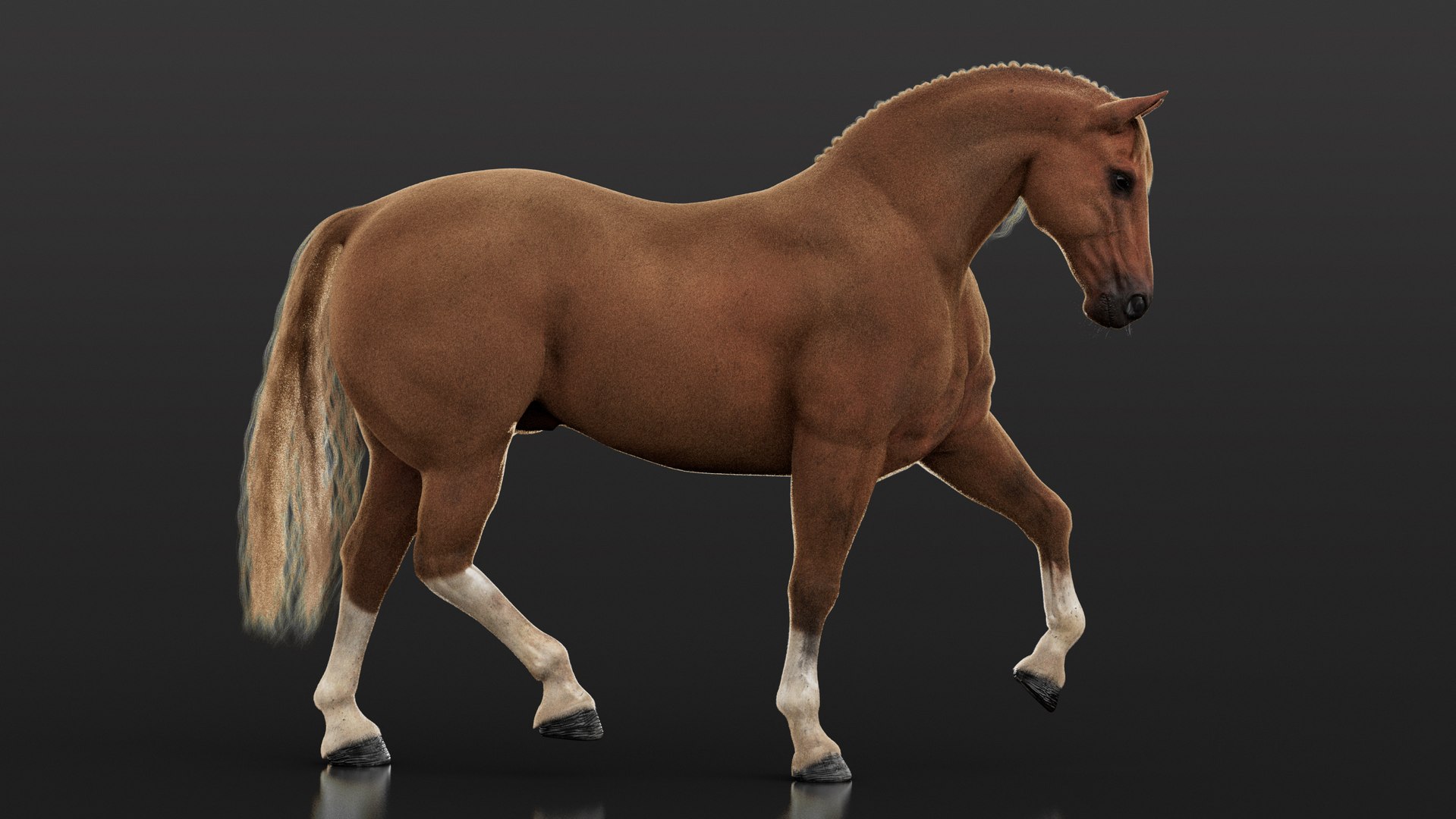 Horse 2026 Brown RIG XGEN 3D model https://p.turbosquid.com/ts-thumb/JK/rnyUp6/o3/brown04/jpg/1768451182/1920x1080/fit_q87/aa2445850a279540af524da68dad92204367e8b9/brown04.jpg