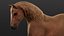 Horse 2026 Brown RIG XGEN