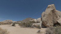 Joshua Tree hemisphereGeo HDR collection