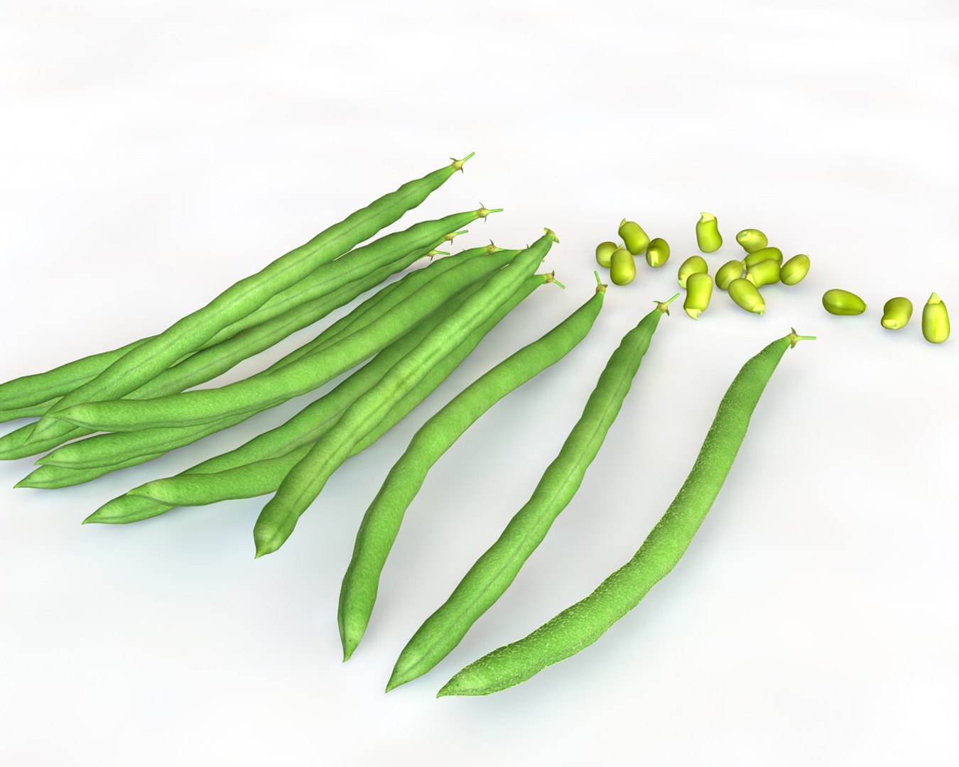 3D Beans - TurboSquid 1544530