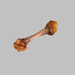 3d chicken leg bone model