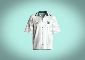 3D Mens basic cut shirt with print and graphic
