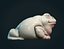 Toad