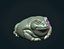 Toad
