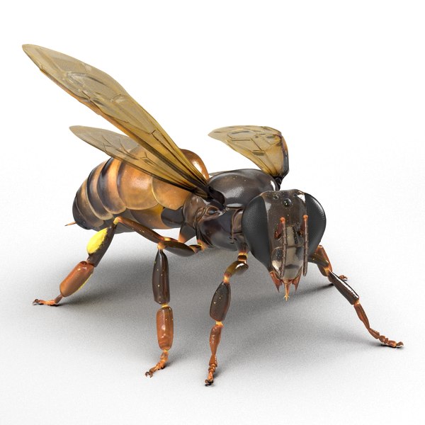 Honey Bee Rigged 3d Model