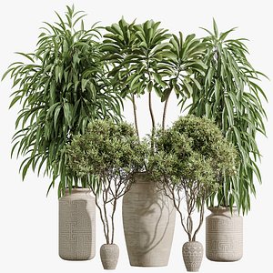 AV Indoor Plants Set 376 Arbequina Olive and Ficus Binnendijkii and Euphorbia Drupifera