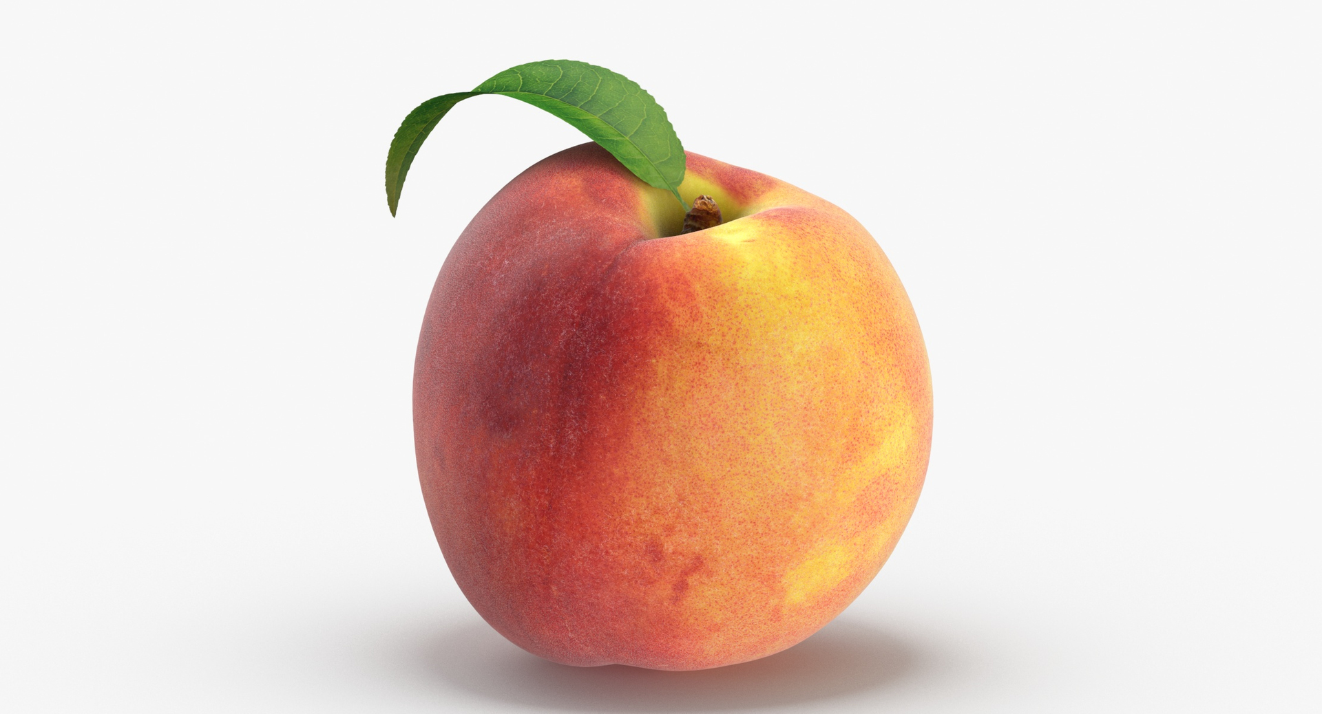 peach leaf 3D https://p.turbosquid.com/ts-thumb/JL/gPft8v/8LHJq4HA/0000/jpg/1599819381/1920x1080/turn_fit_q99/7929ca4c0e5371a46ddffdf5f641ad0864c4a26c/0000-1.jpg