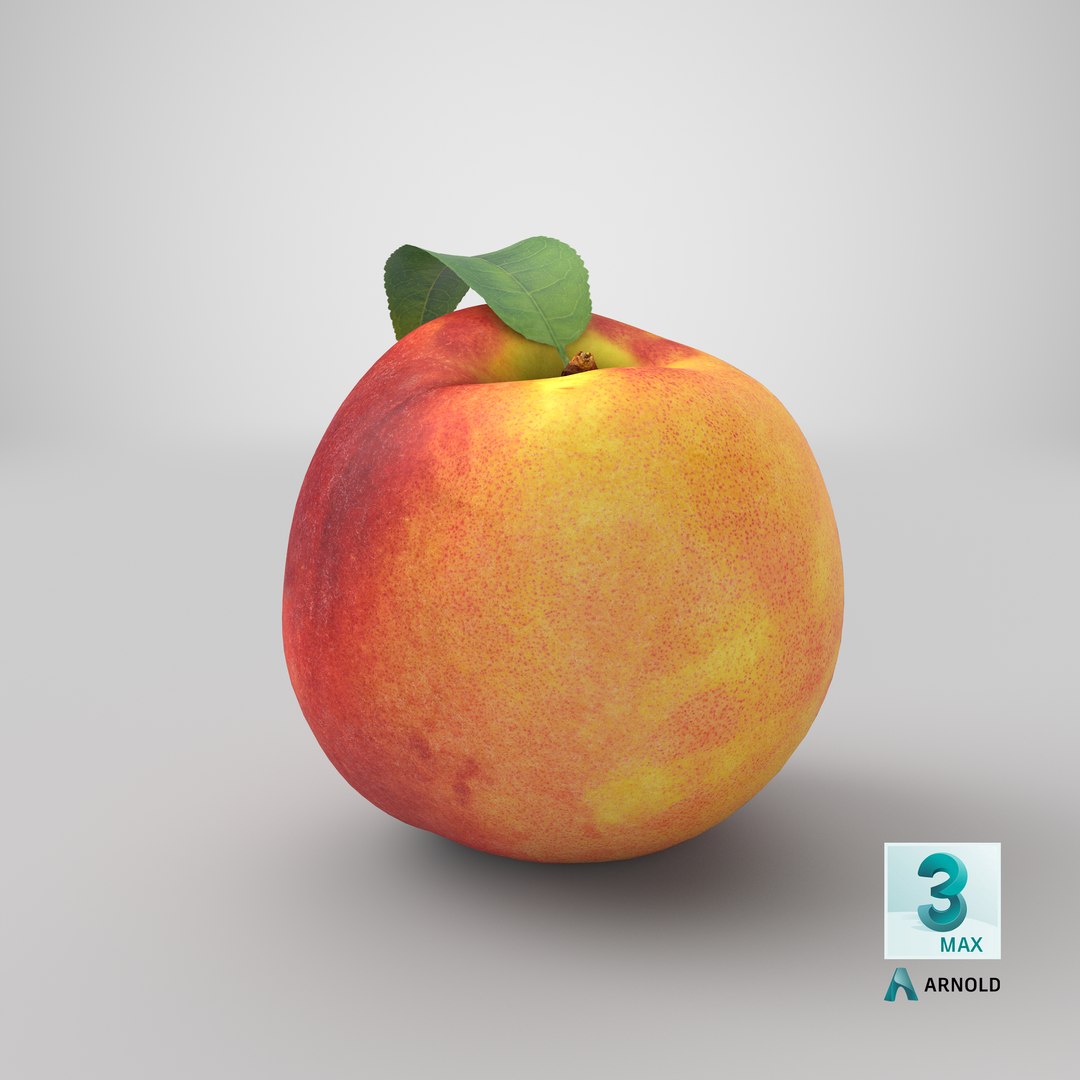 peach leaf 3D https://p.turbosquid.com/ts-thumb/JL/gPft8v/Aa82iicU/stemcell_max_arnold_render/png/1603137237/1920x1080/fit_q87/ef0fdc4fd77e5454de36f177e42d4c7e39ecb0e6/stemcell_max_arnold_render.jpg