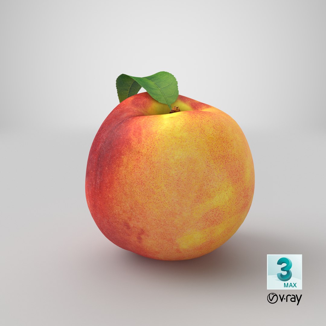 peach leaf 3D https://p.turbosquid.com/ts-thumb/JL/gPft8v/AsZMWxKz/stemcell_max_vray_render/png/1603137246/1920x1080/fit_q87/892c4740b98945db69a9fbf66414d9692f55251a/stemcell_max_vray_render.jpg