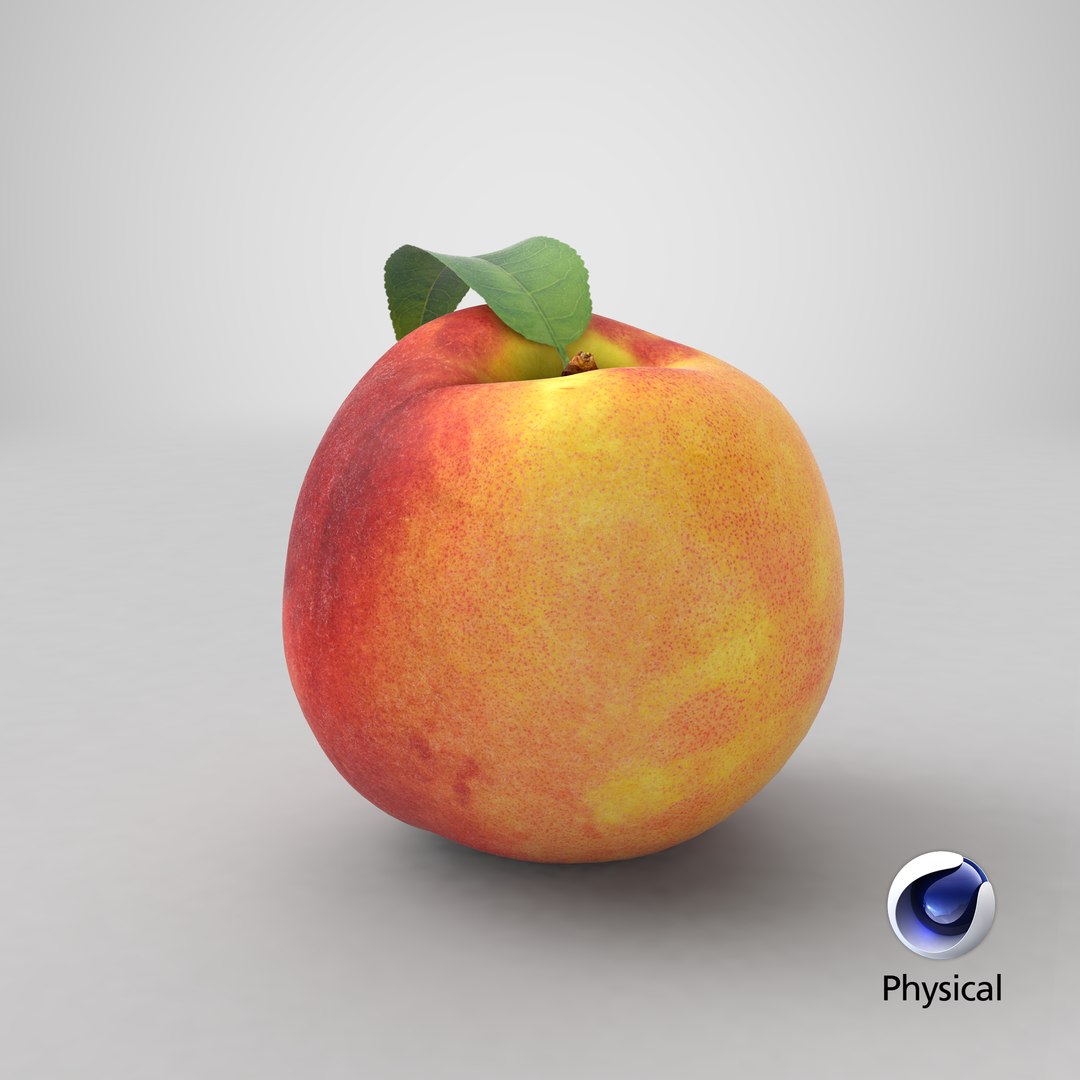 peach leaf 3D https://p.turbosquid.com/ts-thumb/JL/gPft8v/VMuH92h8/stemcell_cinema_4d_physical_render/png/1603137228/1920x1080/fit_q87/ce07d57e0f5b3124297a2c318fc631161caf5a1b/stemcell_cinema_4d_physical_render.jpg