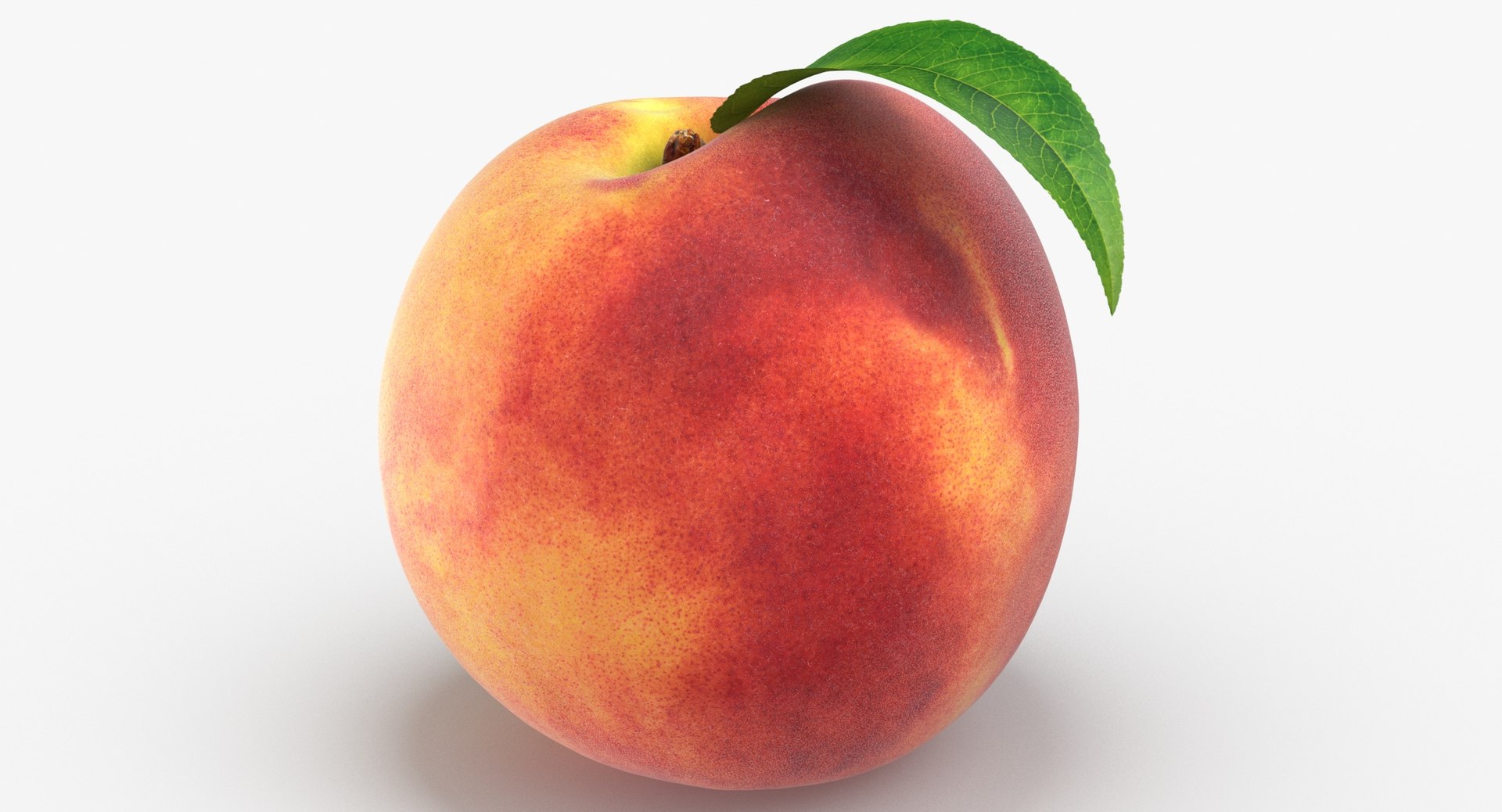 peach leaf 3D https://p.turbosquid.com/ts-thumb/JL/gPft8v/XR5Y1xsf/peach_04_with_leaf_thumbnail_0004/jpg/1599819310/1920x1080/fit_q87/388f7bfd9e4e27b3eb3983005a72e0851ed6d0e3/peach_04_with_leaf_thumbnail_0004.jpg
