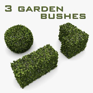 bushes garden 3d model