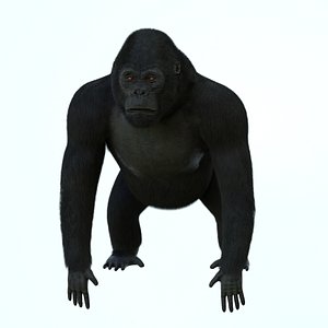 Gorilla tag - Gorilla: textured, rigged, colour - Download Free 3D model by  asduf28349 (@asduf28349) [43404d6]