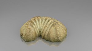 cake games vr 3D model