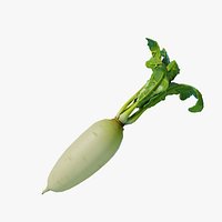 Daikon radish