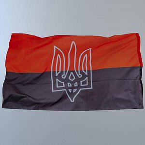 3D flag ukraine model