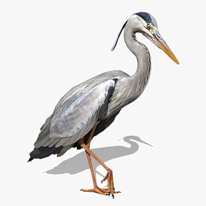 Heron 3D