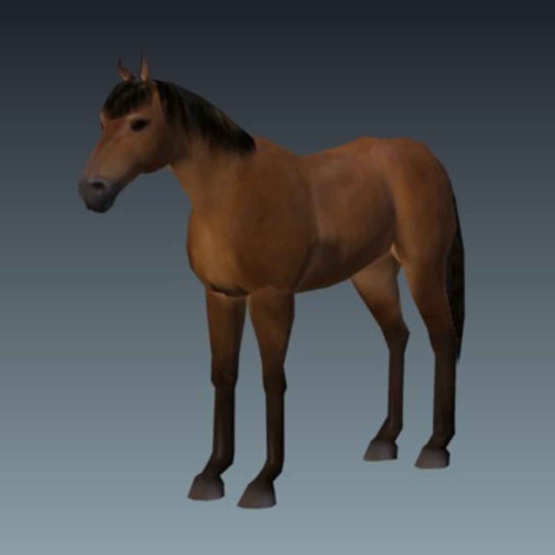 3D Horse Model - TurboSquid 497093