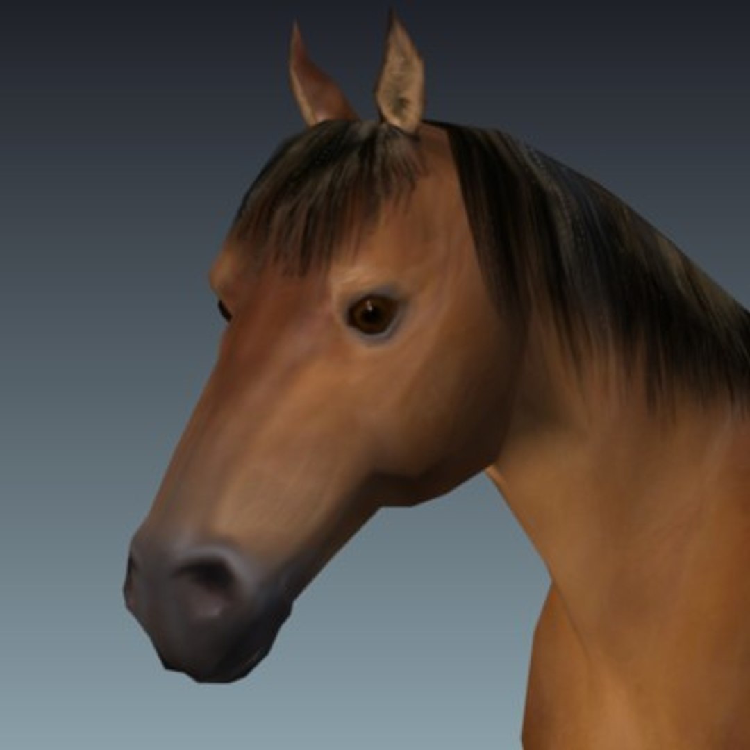 3D Horse Model - TurboSquid 497093