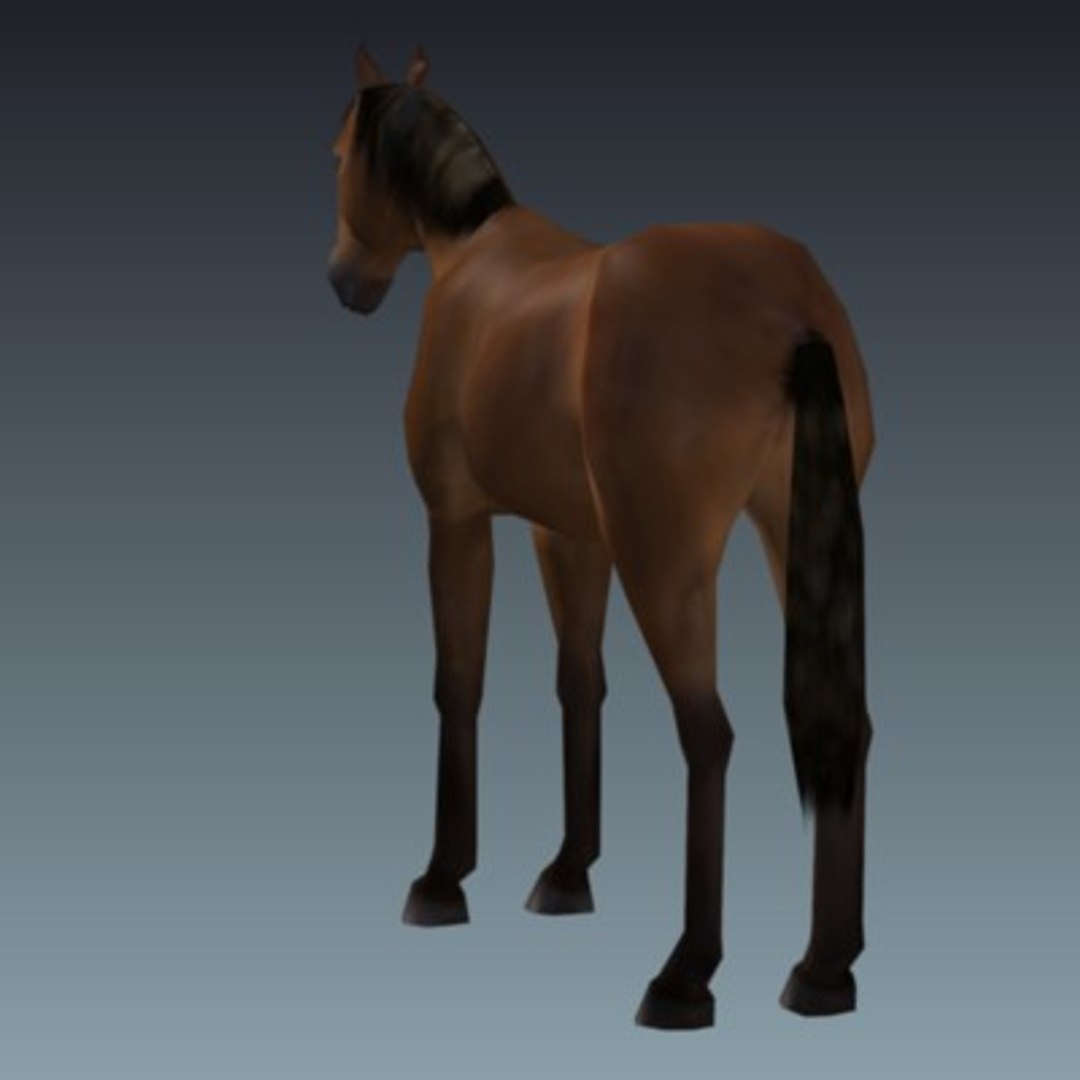 3D Horse Model - TurboSquid 497093