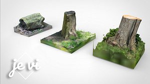 tree trunk 12 lods 3D