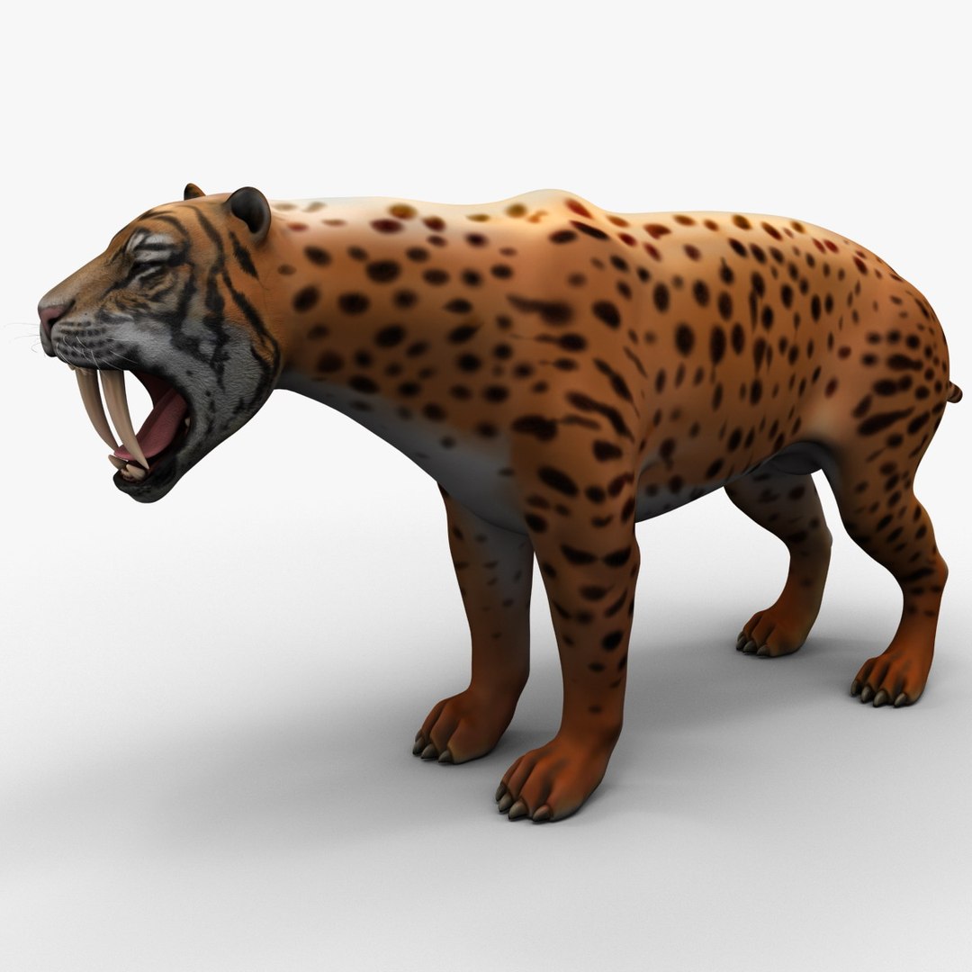 3d Smilodon Model