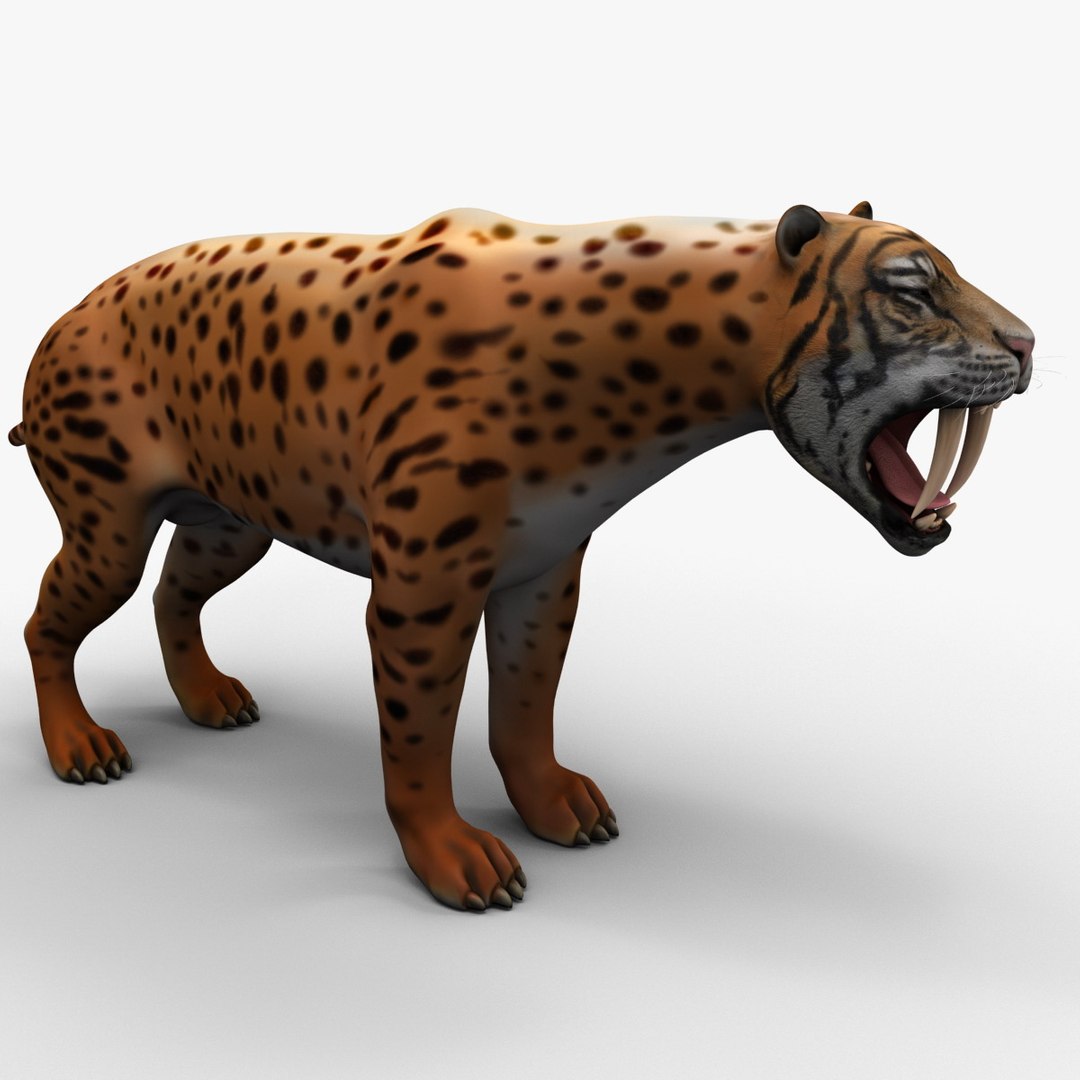 3d Smilodon Model
