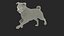 pug dog running pose 3D model