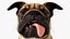 pug dog running pose 3D model