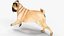 pug dog running pose 3D model