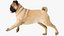 pug dog running pose 3D model